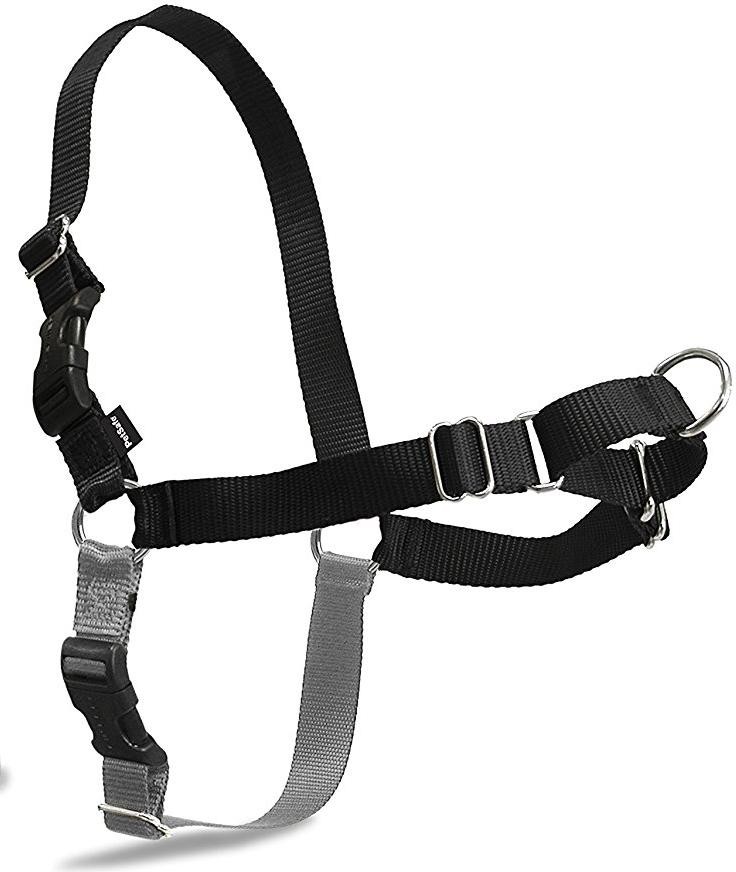 Levně PetSafe Postroj proti tahání EasyWalk Harness – XS