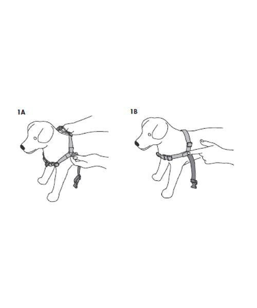 Postroj proti tahání Easy Walk Harness