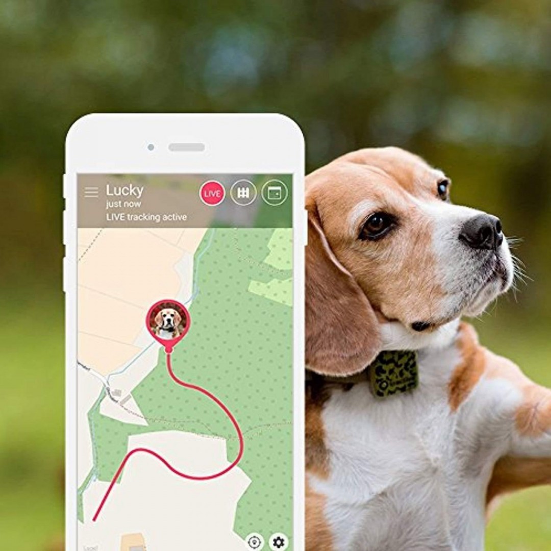 Tractive GPS Speciální lovecká edice pro domácí mazlíčky