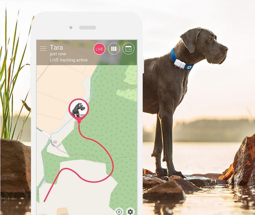 Tractive GPS Speciální lovecká edice pro domácí mazlíčky