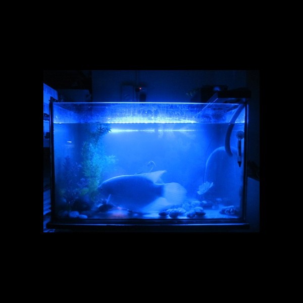 15 LED vodotěsné osvětlení pro akvária
