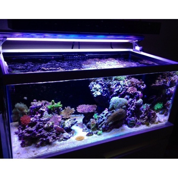 LED MARS AQUA 165W svítidlo pro akvárium