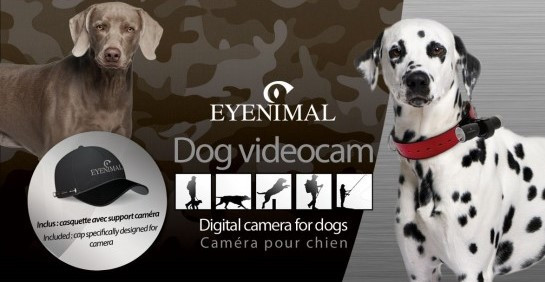 Kamera pro psy Eyenimal Dog Videocam