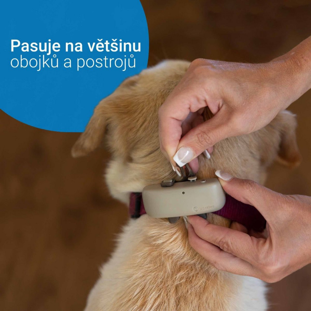 Tractive GPS DOG 4 lokátor pro psy