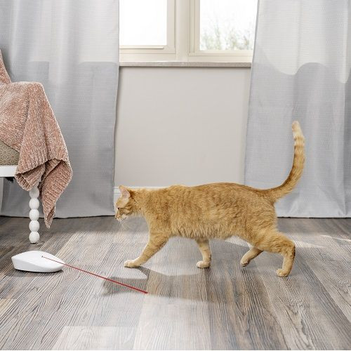 Hračka pro kočky PetSafe Laser Tail Light