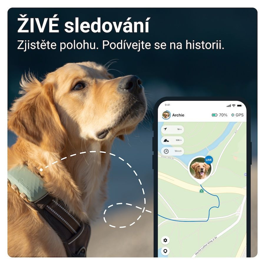 Tractive GPS DOG XL, zelený