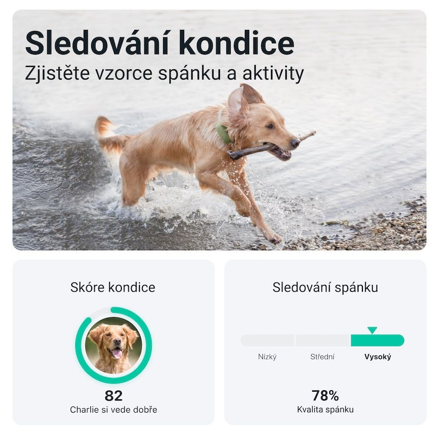 Tractive GPS DOG XL, zelený