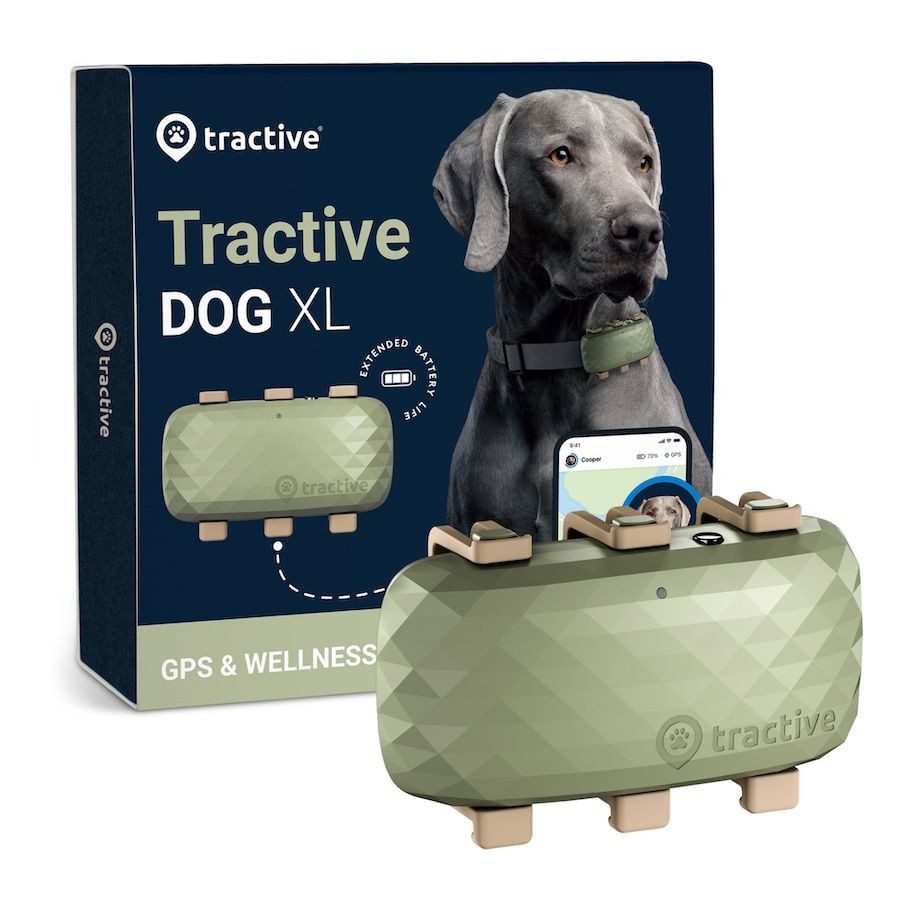 Levně Tractive GPS DOG XL tracker polohy a aktivity pro psy