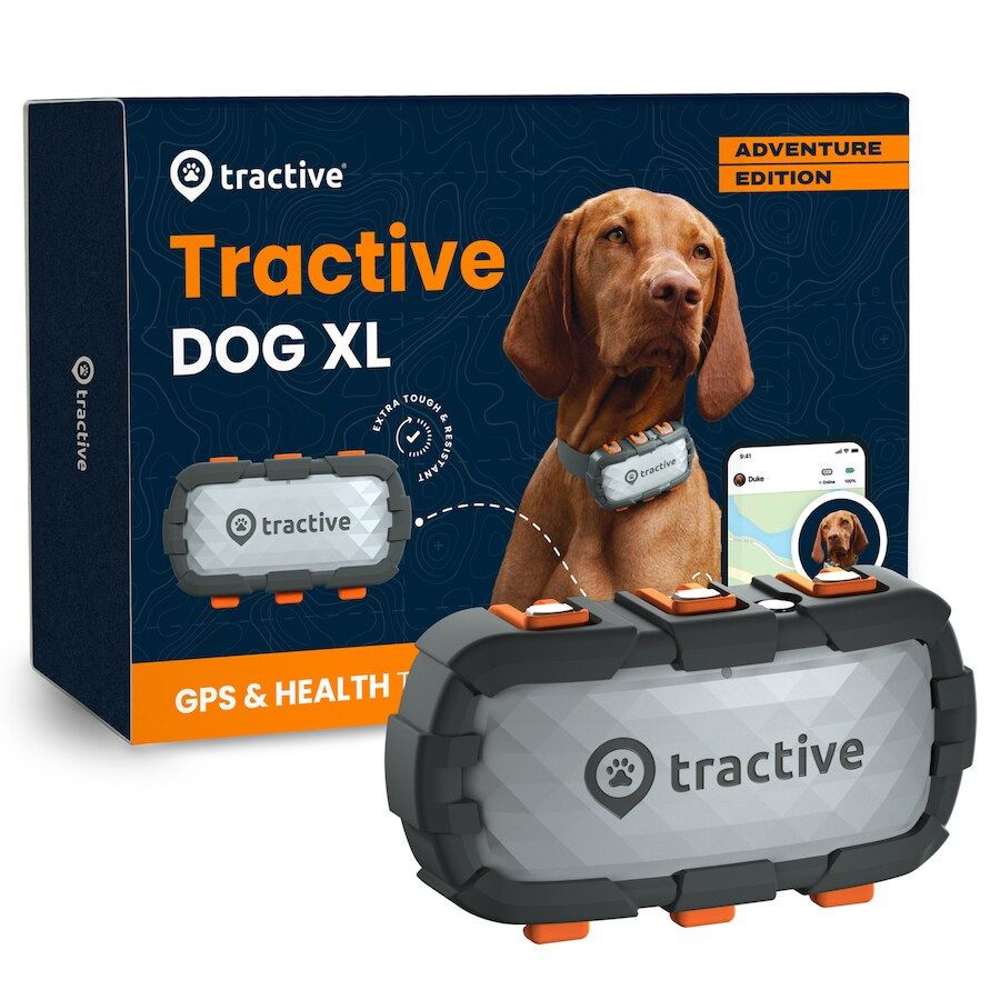 Levně Tractive GPS DOG XL Adventure Edition