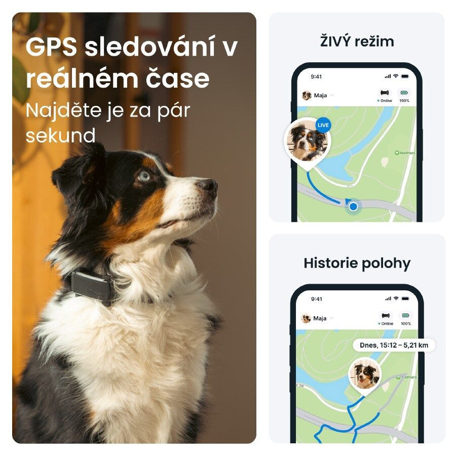 Tractive GPS DOG 6 lokátor pro psy