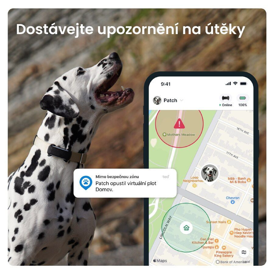 Tractive GPS DOG 6 lokátor pro psy