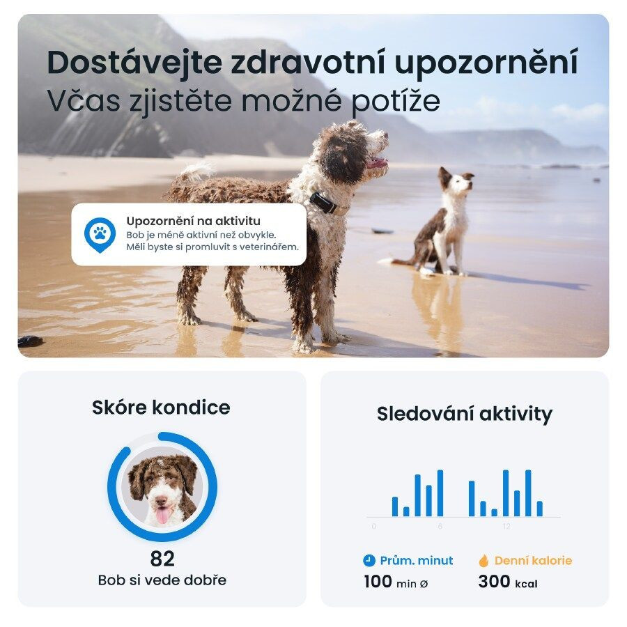 Tractive GPS DOG 6 lokátor pro psy