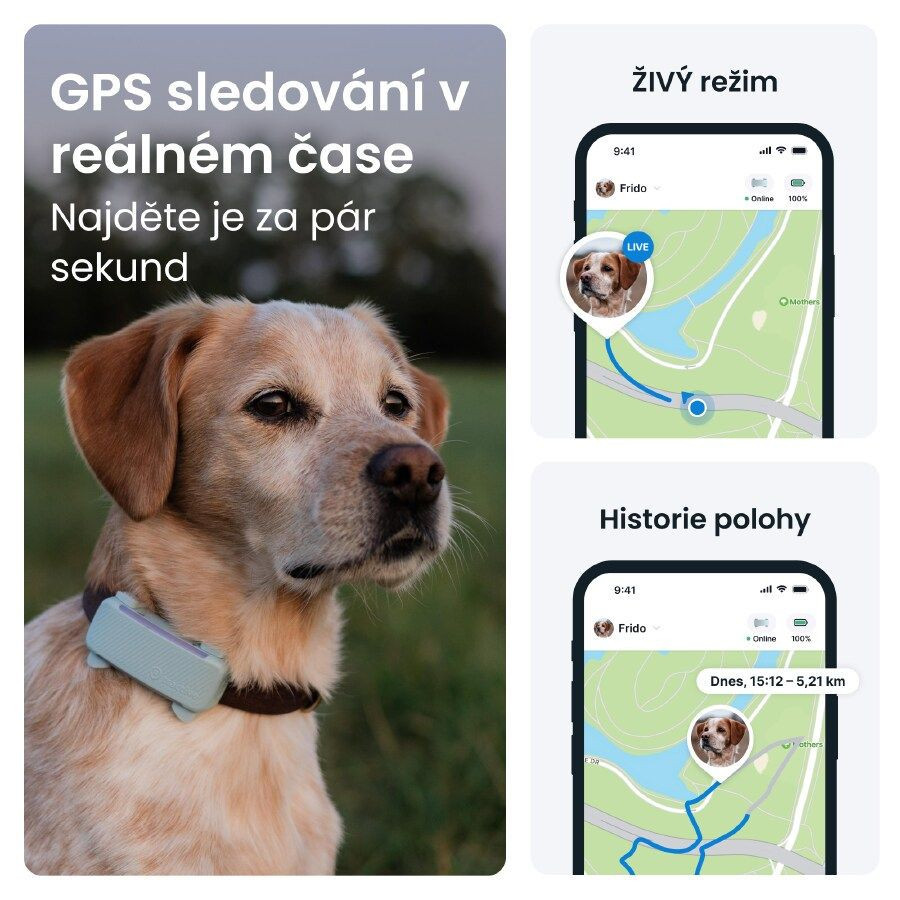 Tractive GPS DOG 6 lokátor pro psy