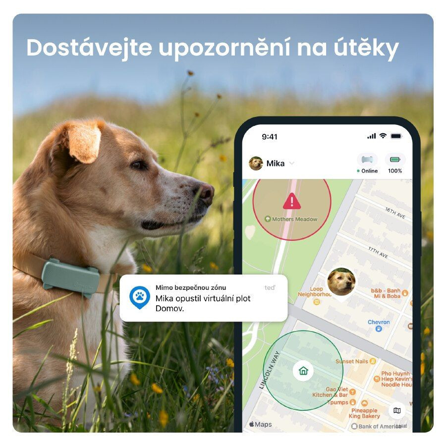 Tractive GPS DOG 6 lokátor pro psy