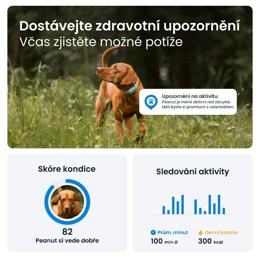 Tractive GPS DOG 6 lokátor pro psy