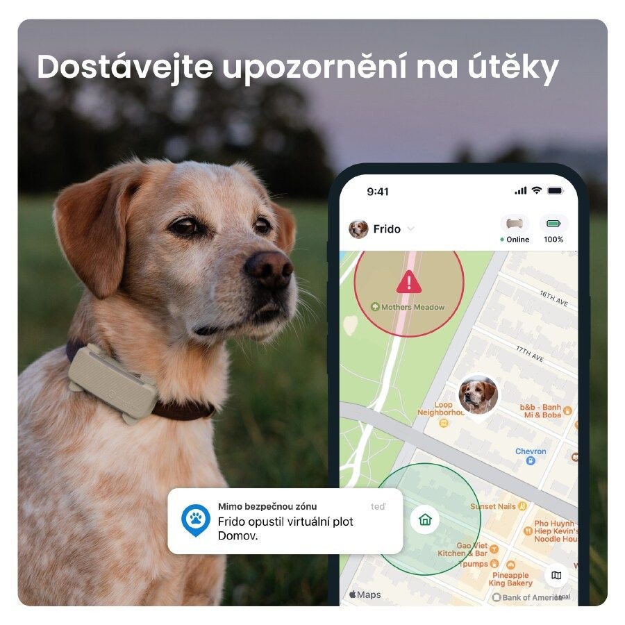 Tractive GPS DOG 6 lokátor pro psy