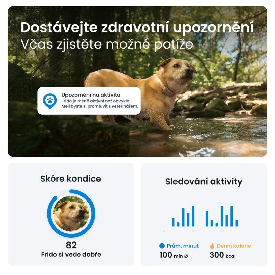 Tractive GPS DOG 6 lokátor pro psy